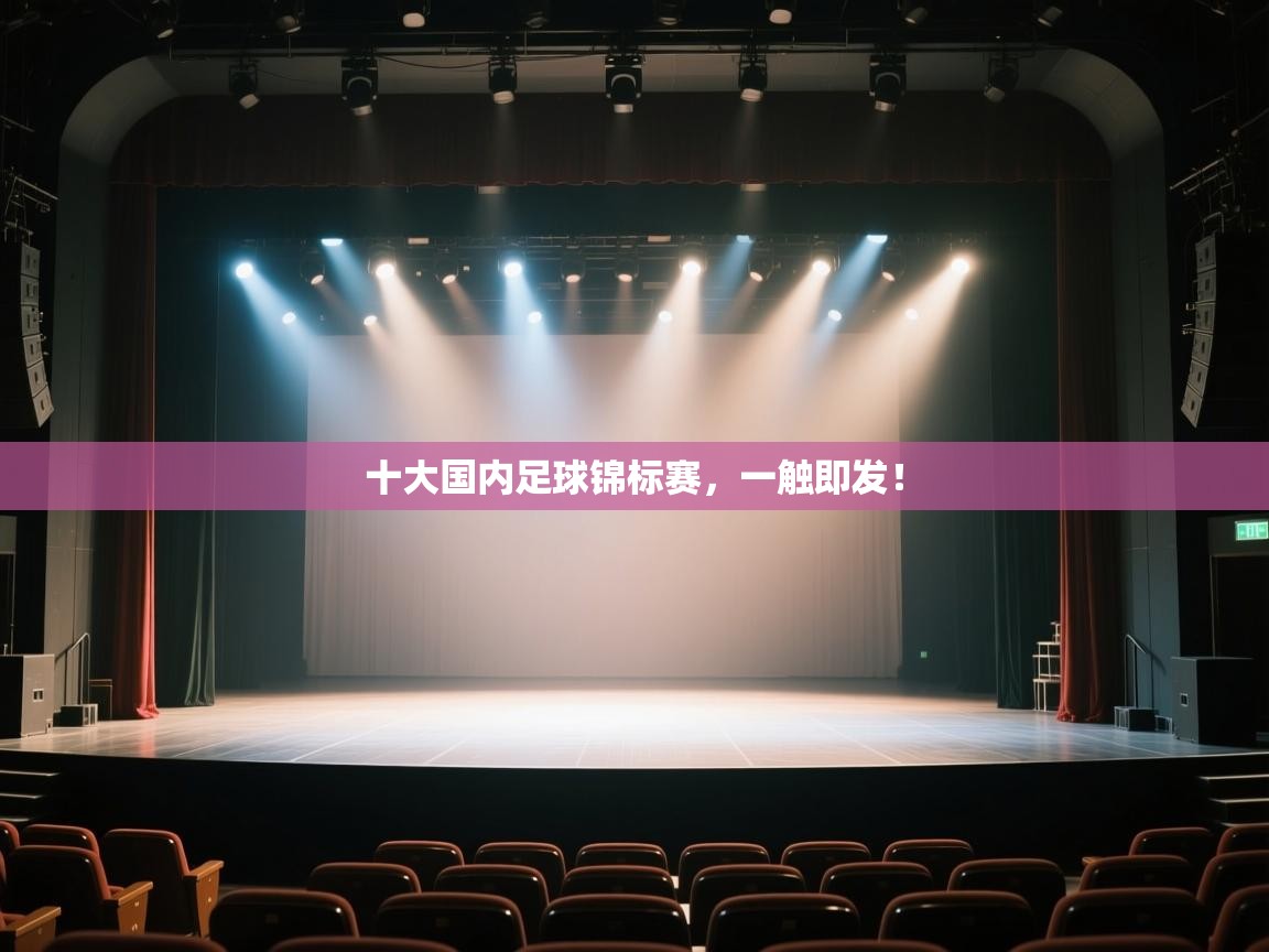 十大国内足球锦标赛，一触即发！  第2张