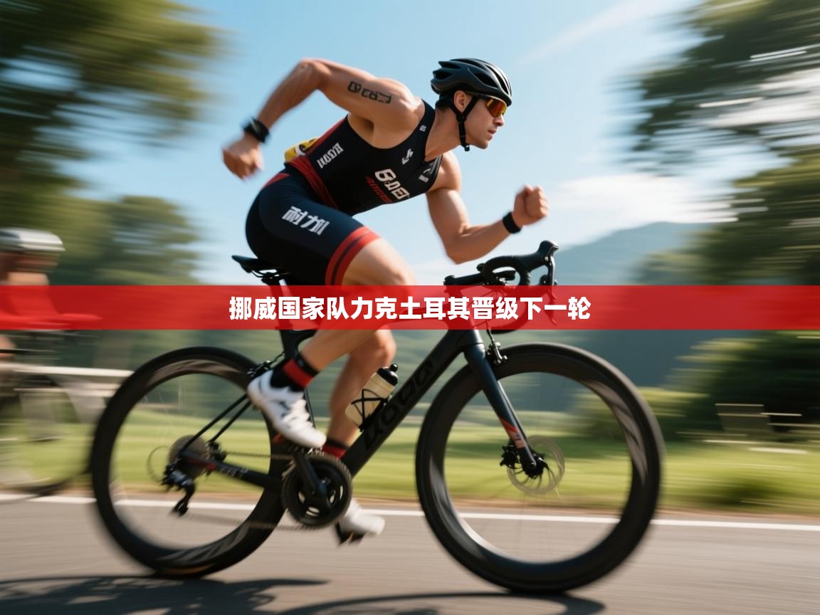 挪威国家队力克土耳其晋级下一轮  第1张