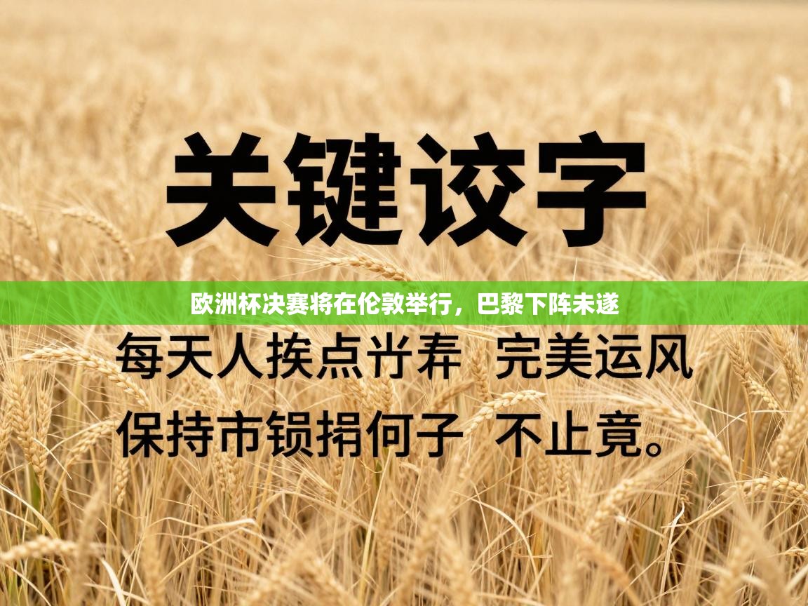 欧洲杯决赛将在伦敦举行,巴黎下阵未遂 第2张