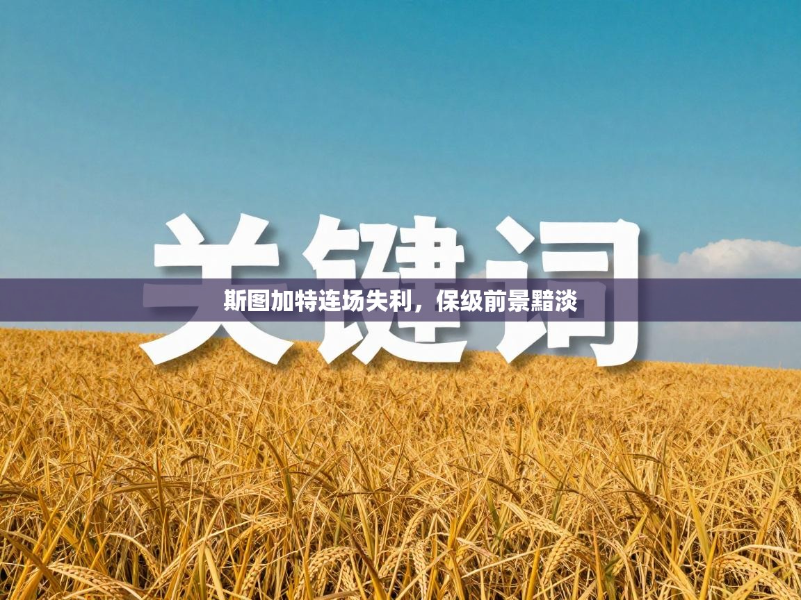 斯图加特连场失利，保级前景黯淡  第2张